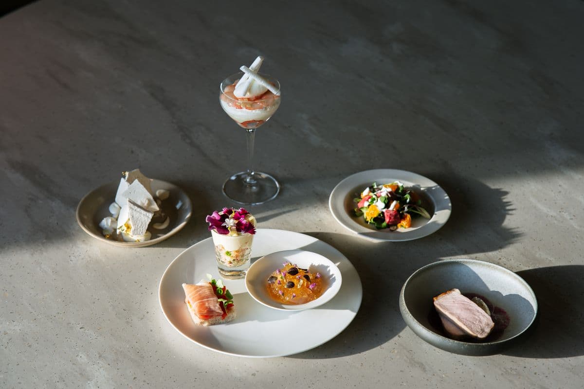 Artfully plated fine-dining dishes in dramatic light.