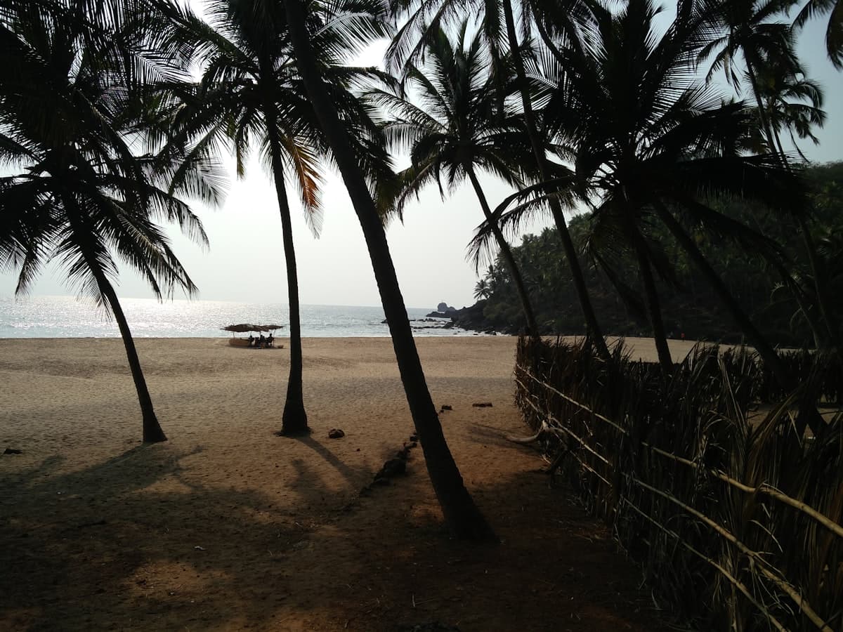 A calm Goa beach framed by palm trees.