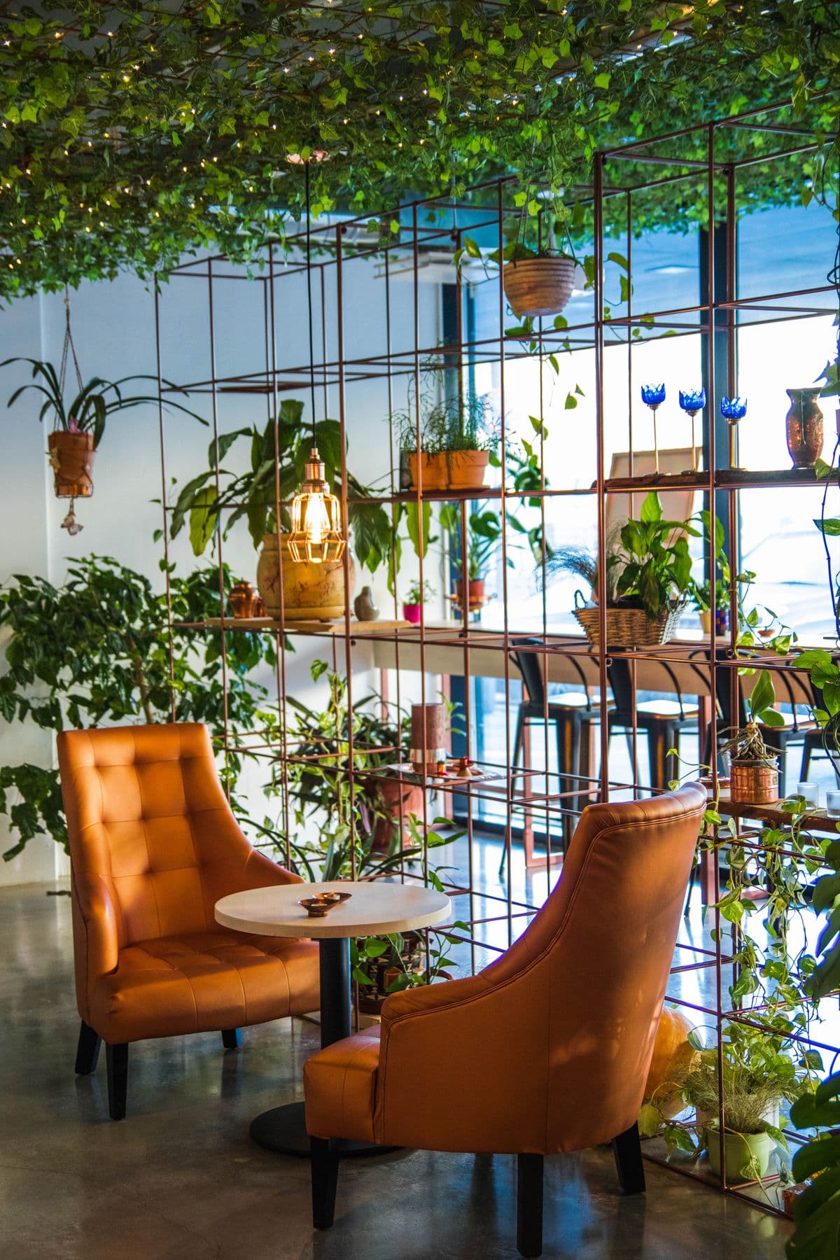A leafy garden café corner with potted plants.