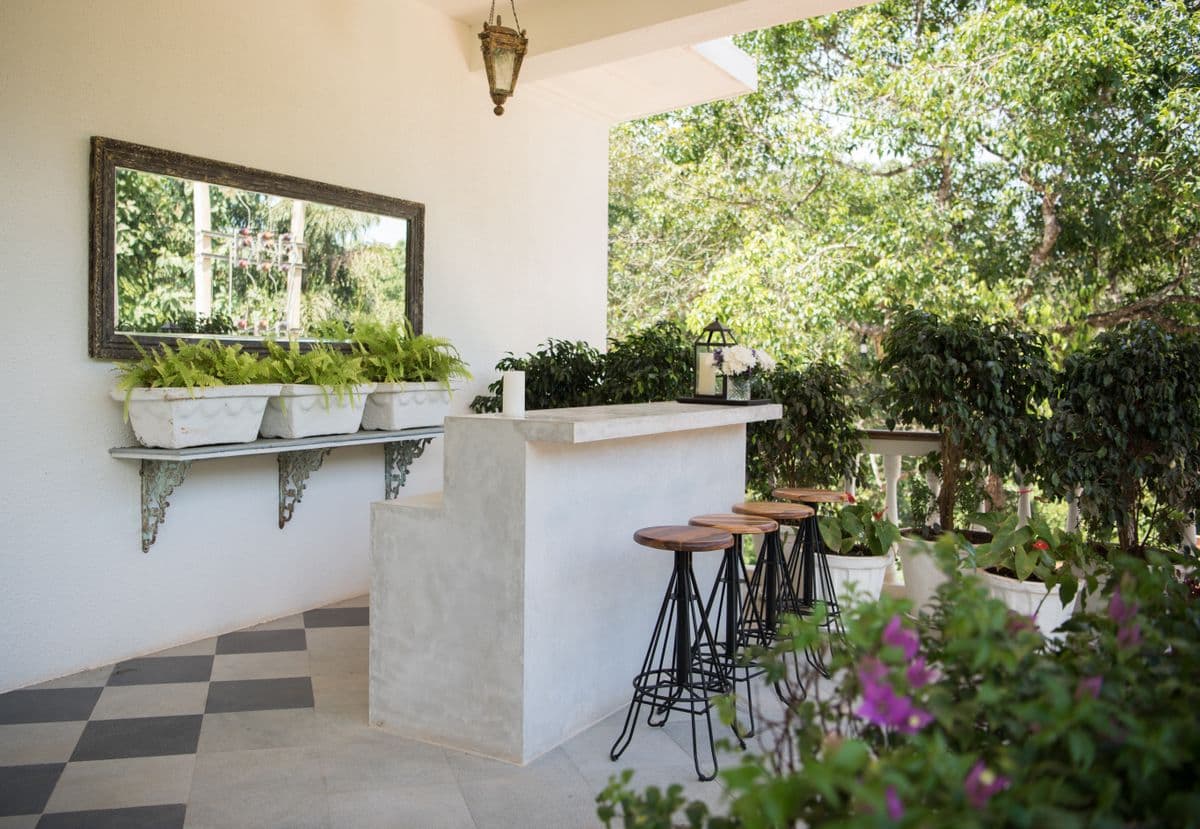 A laid-back open-air garden bar with greenery.